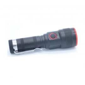 SG-LN-010